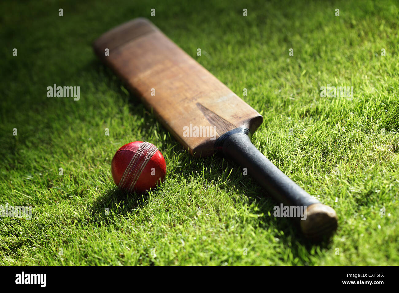Cricket-Schläger und ball Stockfoto