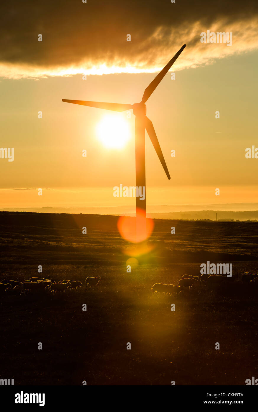 Windpark bei Ovenden Moor in der Nähe von Oxenhope, West Yorkshire. Stockfoto