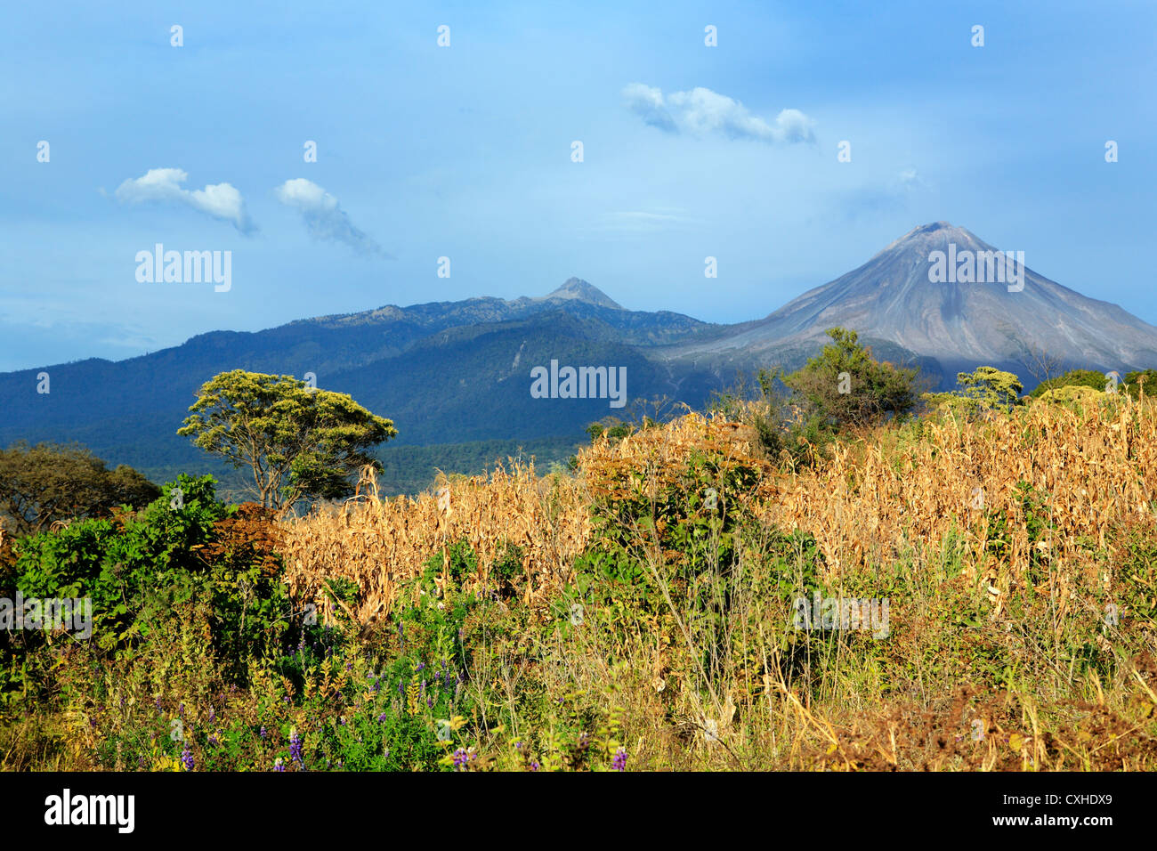 Colima Vulkan Colima, Mexiko Stockfoto