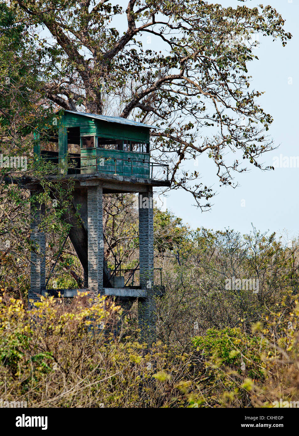 Wachturm für Tierbeobachtung in Dhikala Bereich in Jim Corbett Tiger Reserve, Indien. Stockfoto