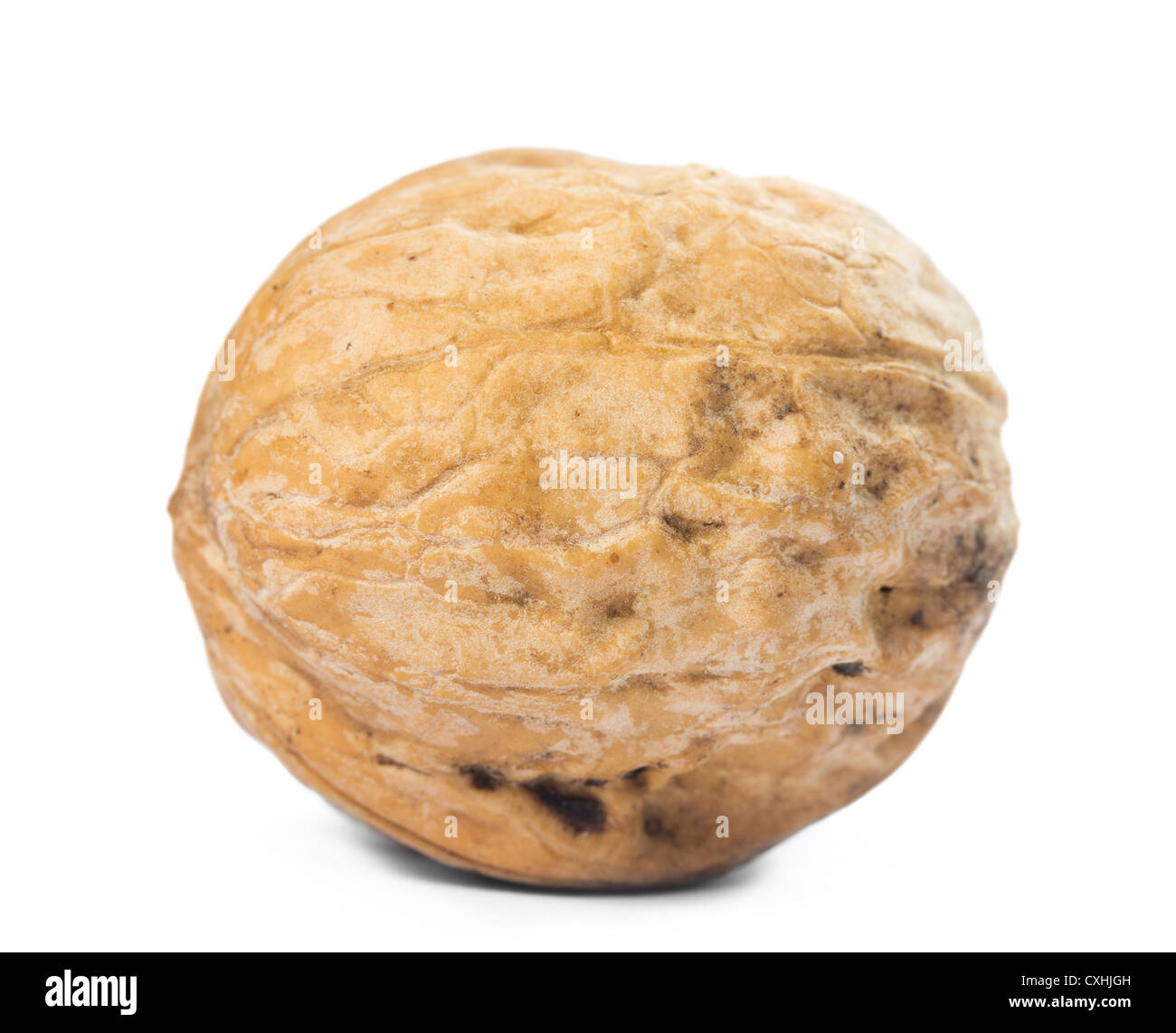 Walnüsse hautnah Stockfoto