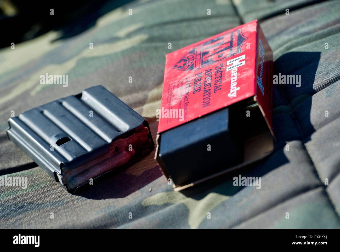 Gemeinsame Basis ELMENDORF - Richardson, Alaska - Anchorage Polizei Abteilung spezielle Waffen und Taktiken (SWAT) Team Offiziere Zug auf dem High-Angle Sniper Strecke am Joint Base Elmendorf-Richardson, Dienstag, August 28, 2012. Die spezialisierte Ausbildung bereitet die Offiziere für mehrere Szenarien, in denen die Treffsicherheit und Aufklärung notwendig sein kann. Stockfoto