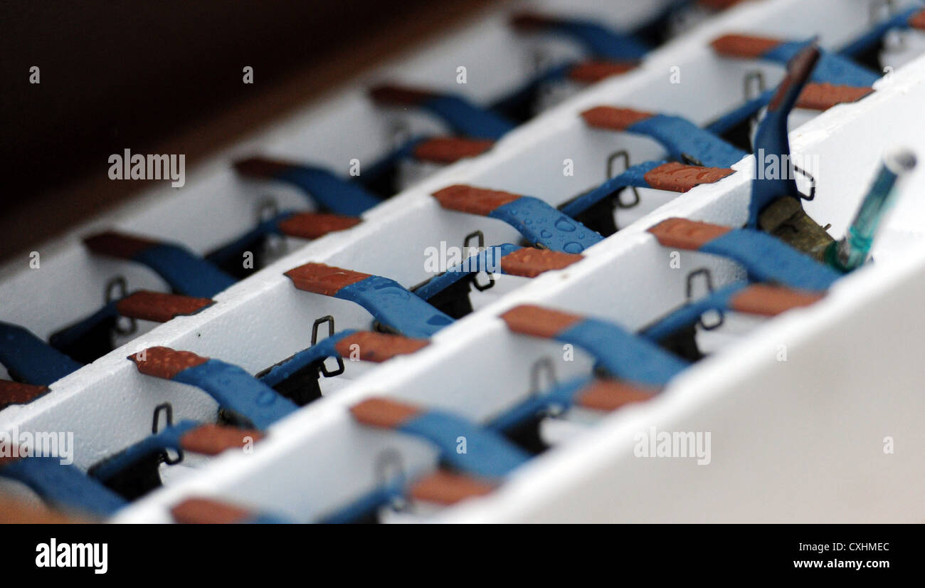 Soldaten der 545. Militärpolizeikompanie üben den Umgang mit Granaten auf der Kraft Hand Granate Range, Joint Base Elmendorf-Richardson, und verfeinern ihre Fähigkeiten für Live-Granatübungen in realistischen Trainingsszenarien. Stockfoto