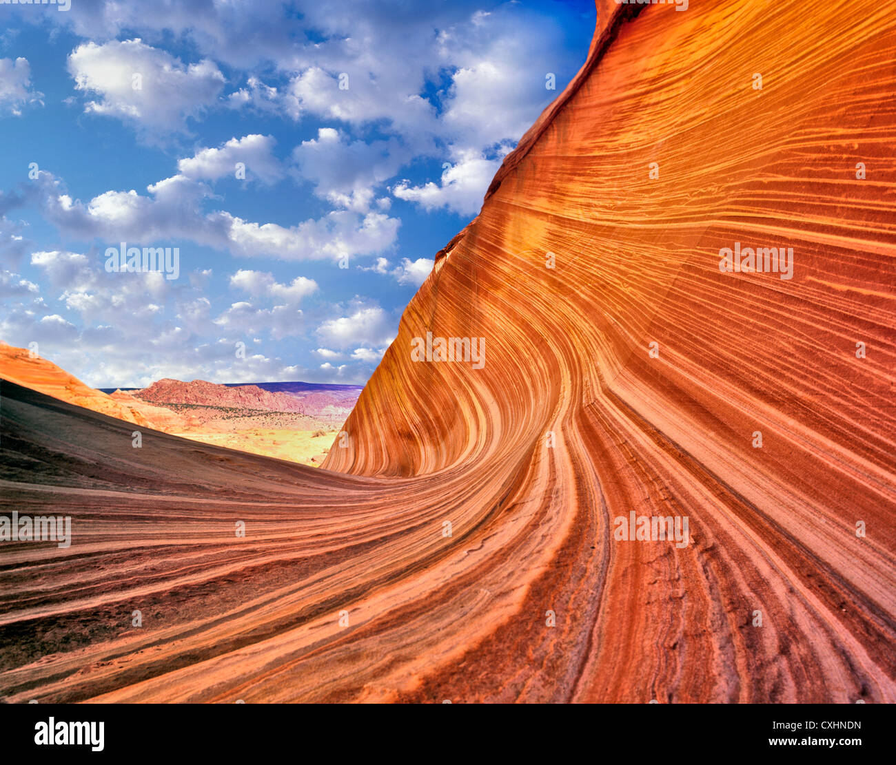 Die Welle, Vermillion Cliffs Wilderness, Arizona C00039M Stockfoto