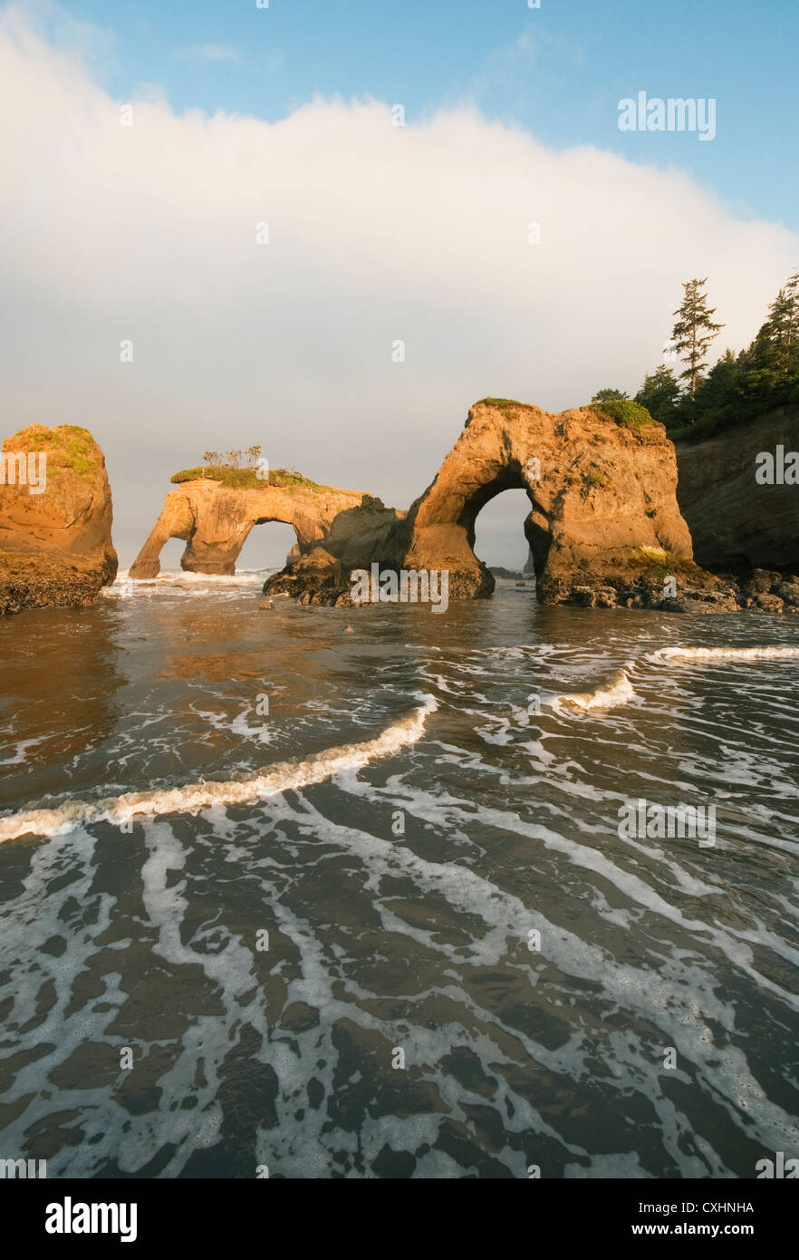 Seastacks, Pazifikküste, Quinault-Indianer-Reservat, Olympic Halbinsel, Washington Stockfoto