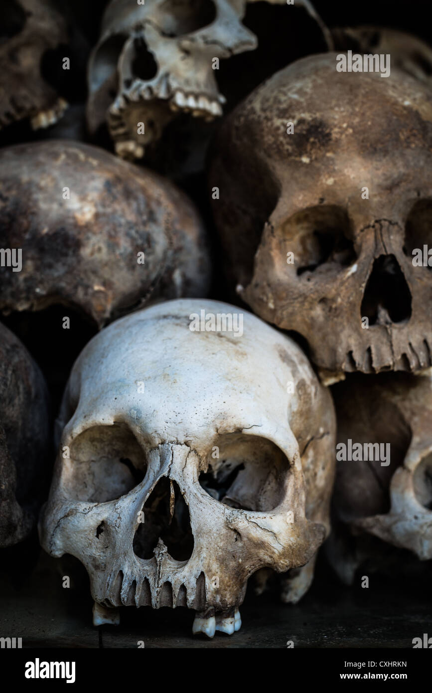 Gebleicht und verfallene menschliche Schädel Stapeln in Choeung Ek Genozid-Denkmal (Tötungfelder), Phnom Penh, Kambodscha Stockfoto