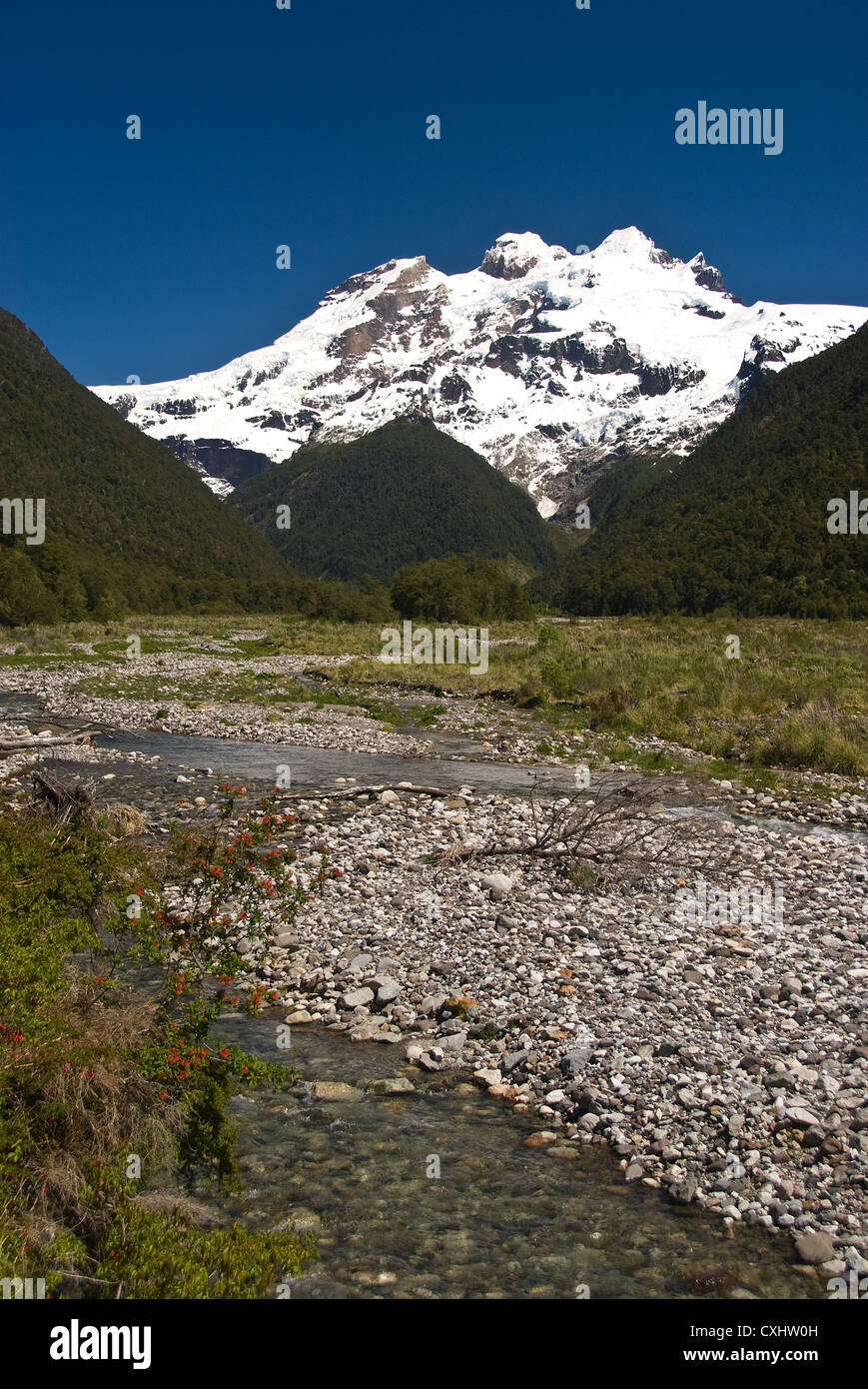 Elk198-3612v Chile, Vicente Perez Rosales Nationalpark, Mount Tronador Stockfoto