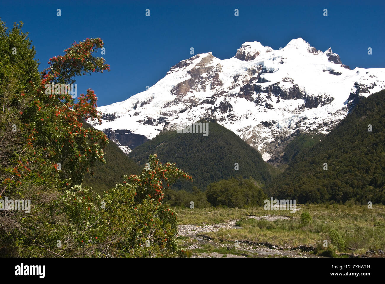 Elk198-3618 Chile, Vicente Perez Rosales Nationalpark, Mount Tronador Stockfoto