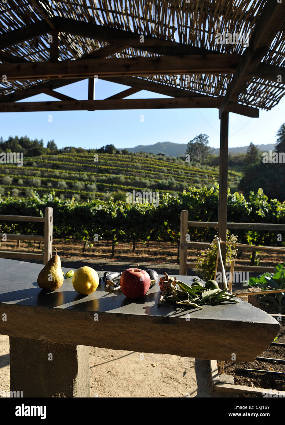 Benziger-Familie Weingut über San Francisco Stockfoto