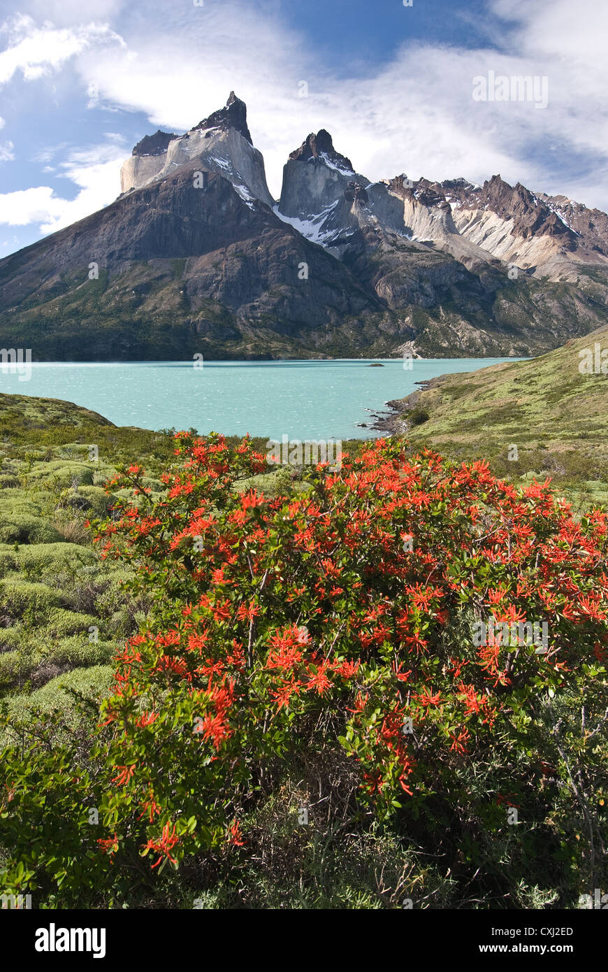 Elk198-4491v Chile, Patagonien, Torres del Paine NP, Lago Nordenskjold mit Cuernos Massivs, Anden Stockfoto