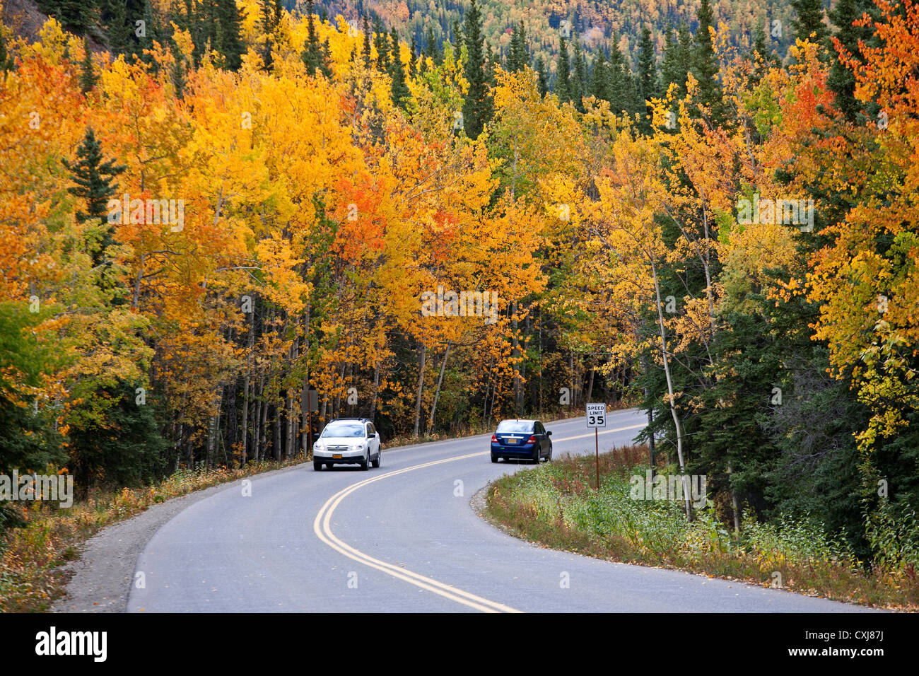 Farben des Herbstes. Denali-Nationalpark. Alaska. USA Stockfoto