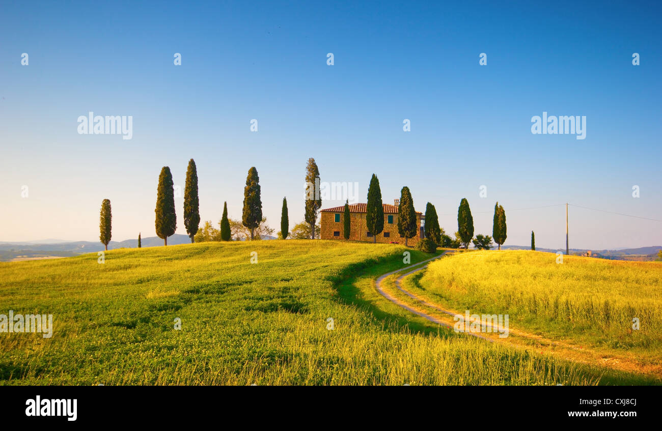 Ein schönes Bauernhaus in der toskanischen Landschaft, umgeben von Zypressen. Stockfoto