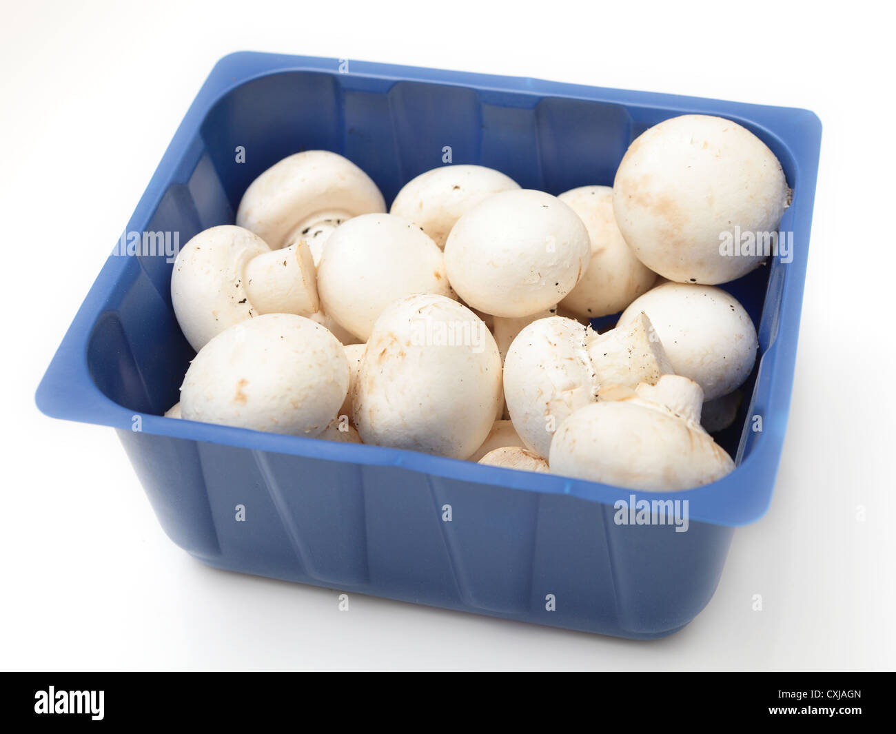 Schaltfläche "Pilze, Agaricus Bisporus, gemeinsamen, Champignon, Crimini, weiß oder Tabelle Pilze in einem Supermarkt-Tablett, Stockfoto