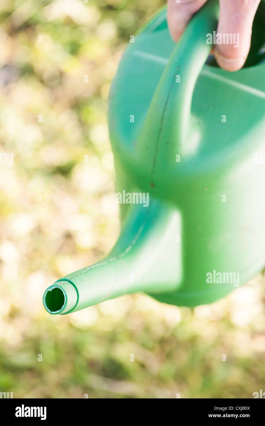 Gartenarbeit Ausrüstung, grüne Kunststoff-Gießkanne in einem Garten im Sommer Stockfoto