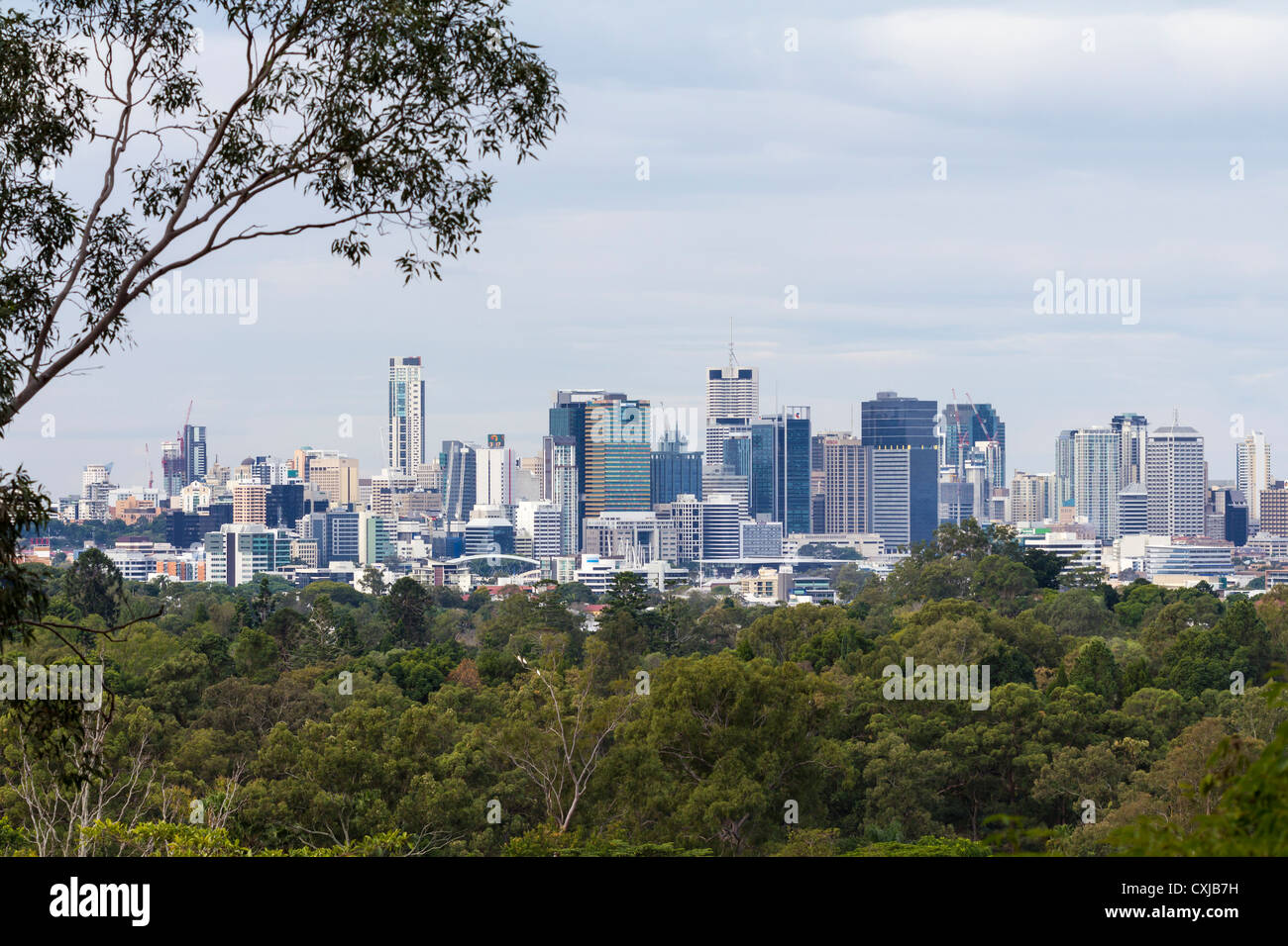 Brisbane City Skyline von Mount Coot-Tha, Queensland, Australien Stockfoto