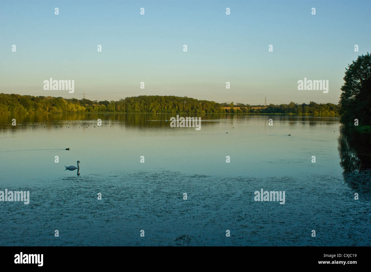 Abend am Swithland Stausee, Leicestershire Stockfoto