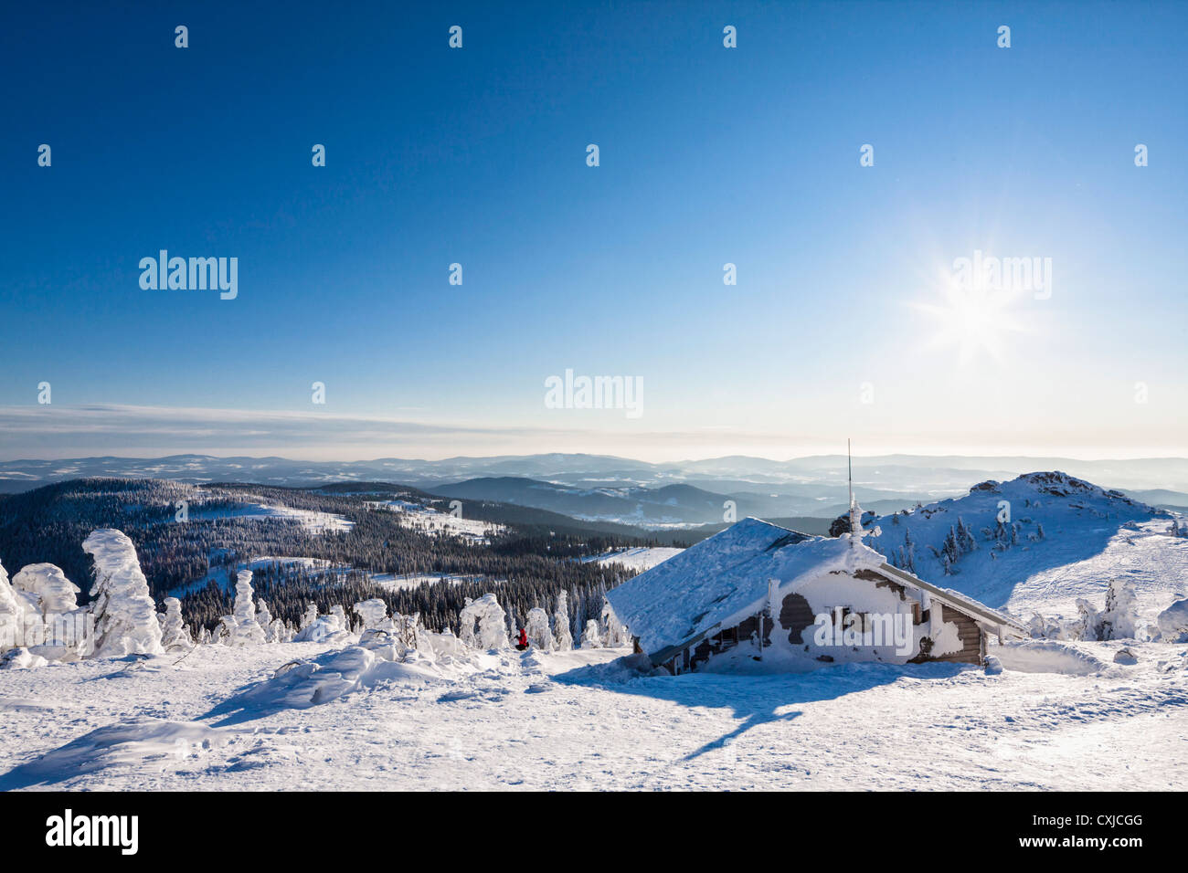 Deutschland, Bayern, Blick auf Schnee bedeckt Berghütte im Bayerischen Wald Stockfoto