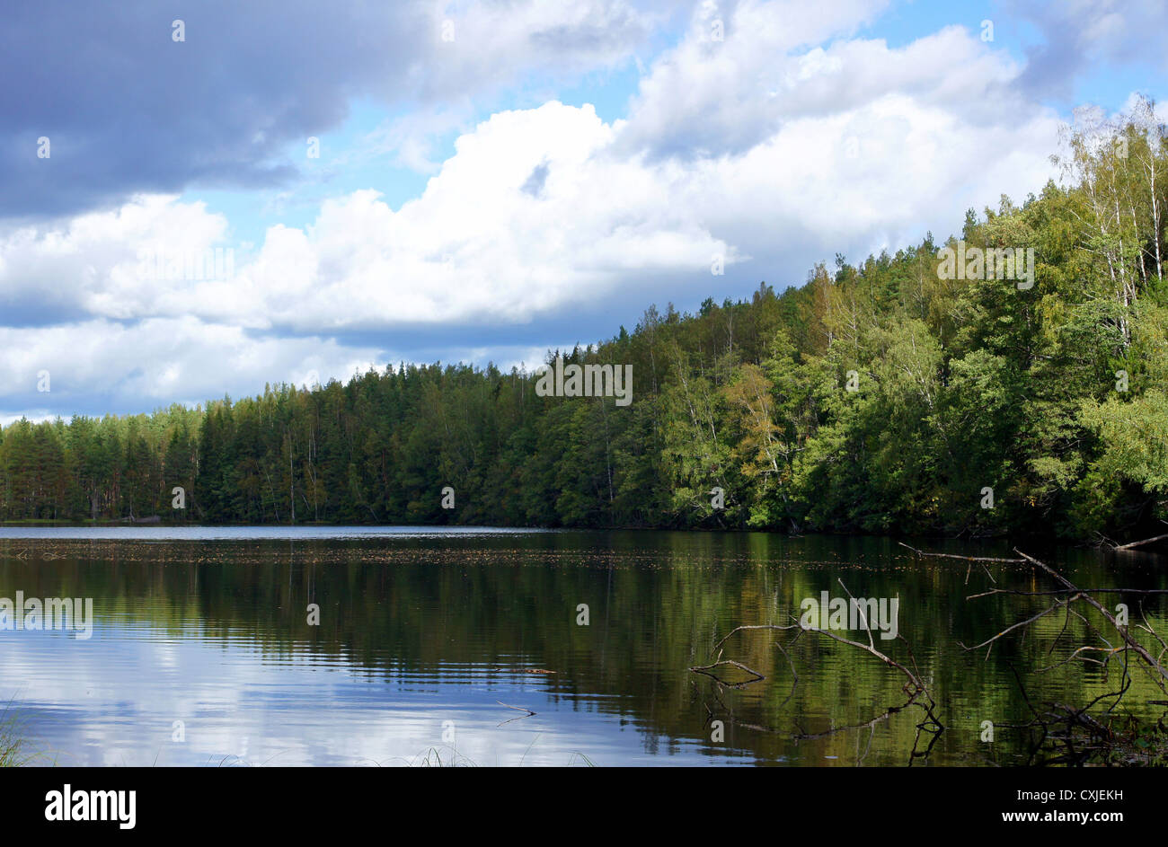 See und Bäumen auf dem Hintergrund des blauen Himmels Stockfoto