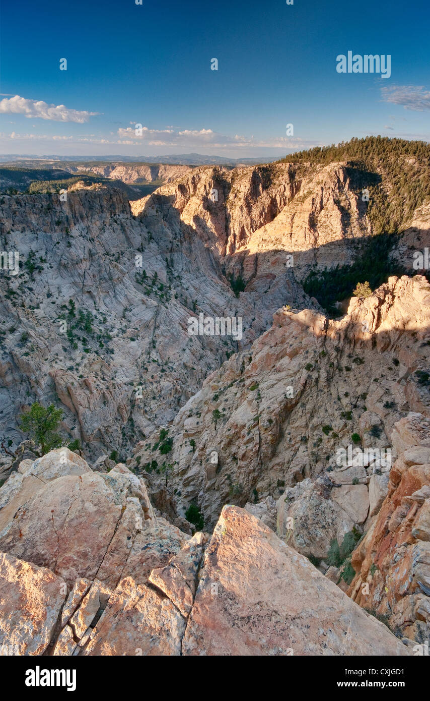Box Tod hohlen Wildnis, Blick auf den Sonnenaufgang von Hells Backbone Road, Colorado Plateau, Utah, USA Stockfoto