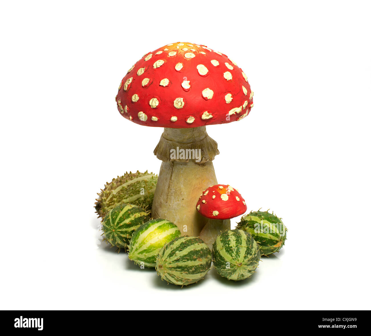 roten Champignon mit grünen Melonen isoliert auf weiss Stockfoto