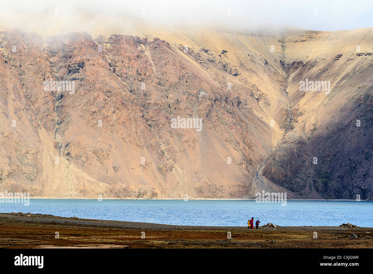 Dundas Harbour, Nunavut, kanadischen Hocharktis. Anfang August. Stockfoto