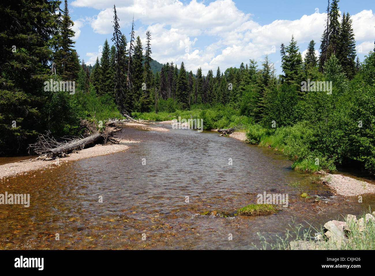 MONTURE Creek in Montana Stockfoto