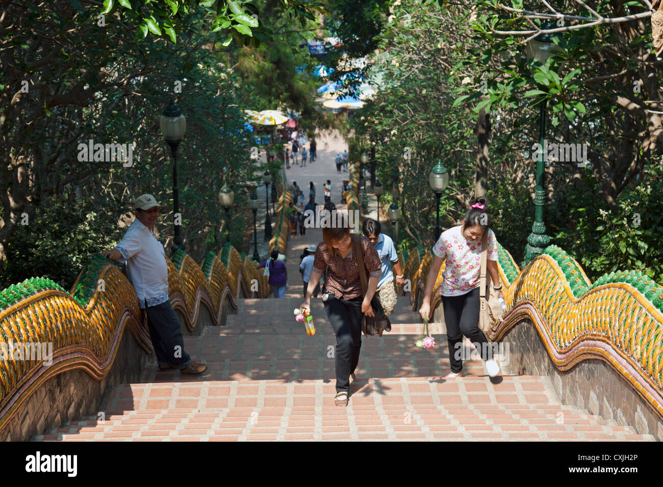 Reich verzierte Treppe in Tempelkomplex, Wat Phrathat Doi Suthep, Provinz Chiang Mai, Thailand Stockfoto