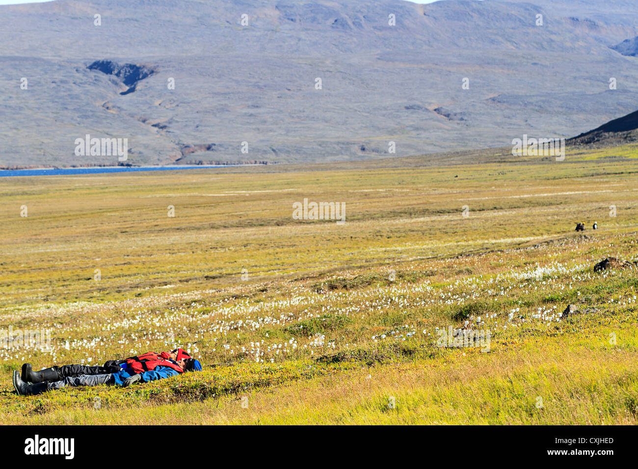 Man ruht auf Tundra Rasen des Mitdlorfik, einer unbewohnten Bucht entlang der Westküste Grönlands. Stockfoto