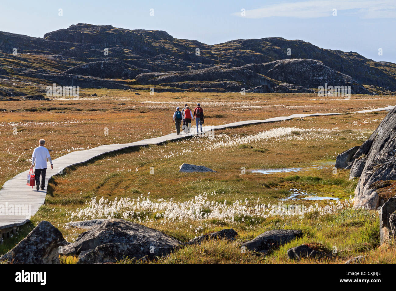 Touristen-Wanderung entlang der Promenade durch Tundra führt zu Jakobshavn Gletscher übersehen in Ilulissat, Grönland. Stockfoto