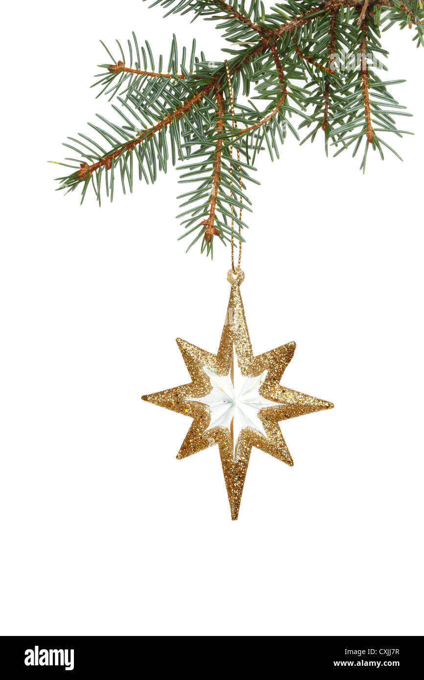 Gold star Weihnachtsschmuck hängen von einer Tanne Zweig isoliert gegen weiß Stockfoto