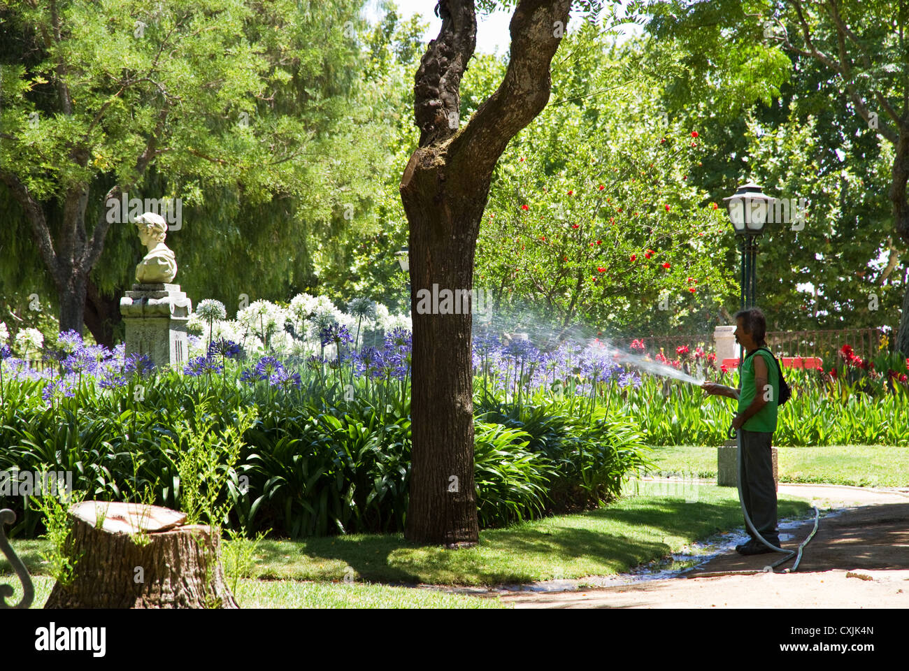 Gärtner, die Bewässerung der Pflanzen in den Gärten (Jardim Público de Évora), Stadtzentrum, Evora, Alentejo, Portugal Stockfoto