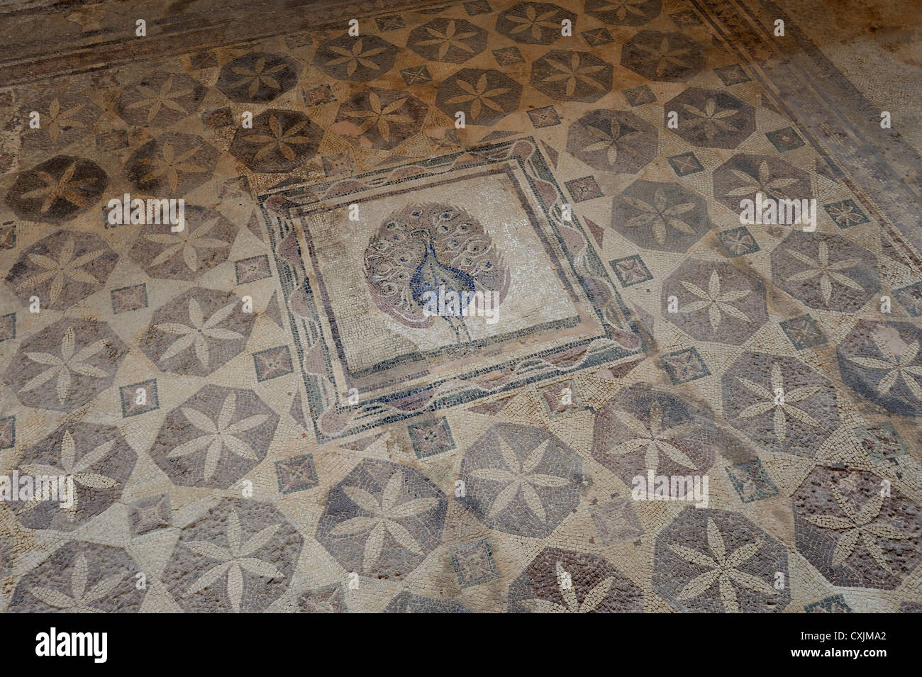 Gut erhaltene römische Mosaiken in Pafos (Paphos), Süd-Zypern Stockfoto