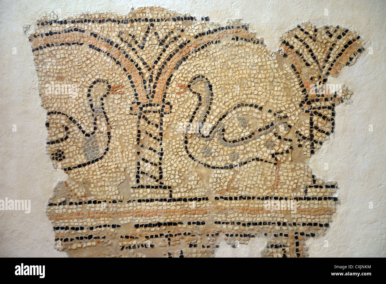 Fragment von einem Bodenmosaik im byzantinischen Museum, Paleo Frourio, Altstadt von Korfu, Kerkyra, Korfu, Ionische Inseln, Griechenland Stockfoto