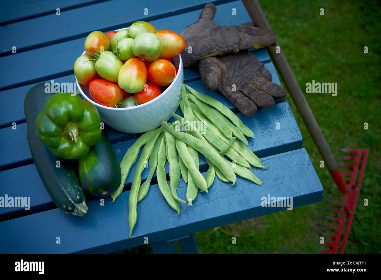 Frisch gepflückt Garten Gemüse, Toronto, Ontario, Kanada Stockfoto