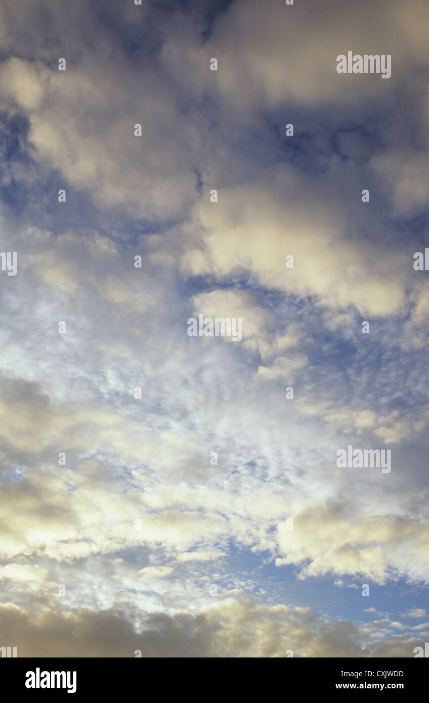 Cumulus und Strato Cumulus Wolken gegen blauen Himmel drehen von weiß zu Gold am Ende des Tages gebrochen Stockfoto