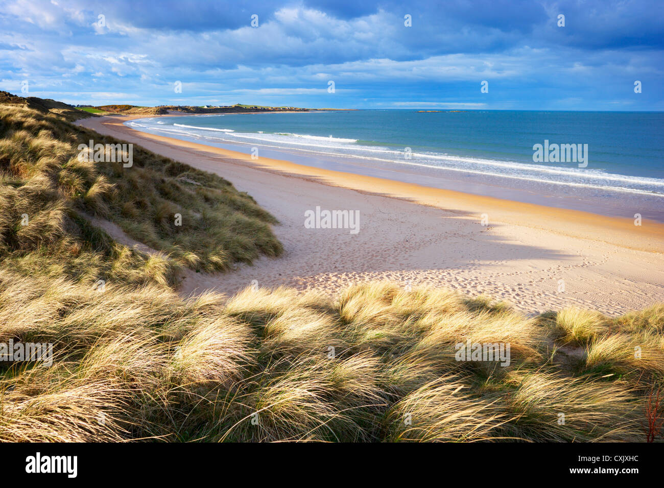 Grass bedeckt, Dünen und Sandstrand von Embleton Bay, Northumberland, England Stockfoto