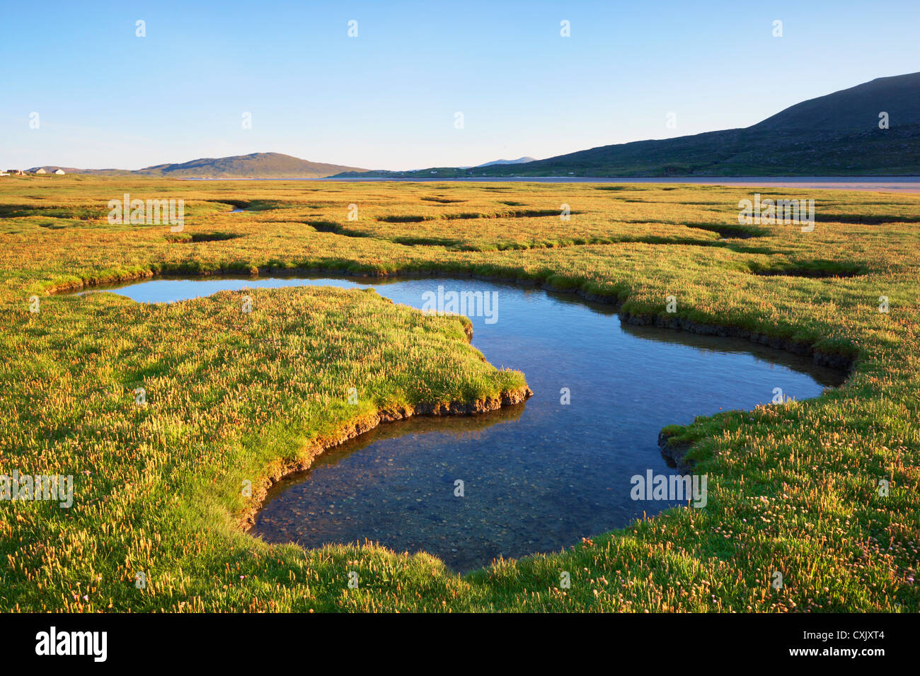 Gezeitenbecken in Salz-Sumpf, Insel Harris, äußeren Hebriden, Schottland Stockfoto