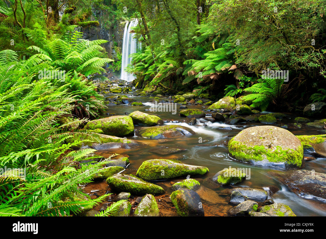 Hopetoun Falls im Great Otway National Park. Stockfoto