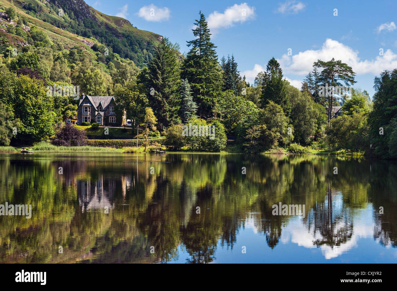 Loch Ard Seeufer, Schottland Stockfoto