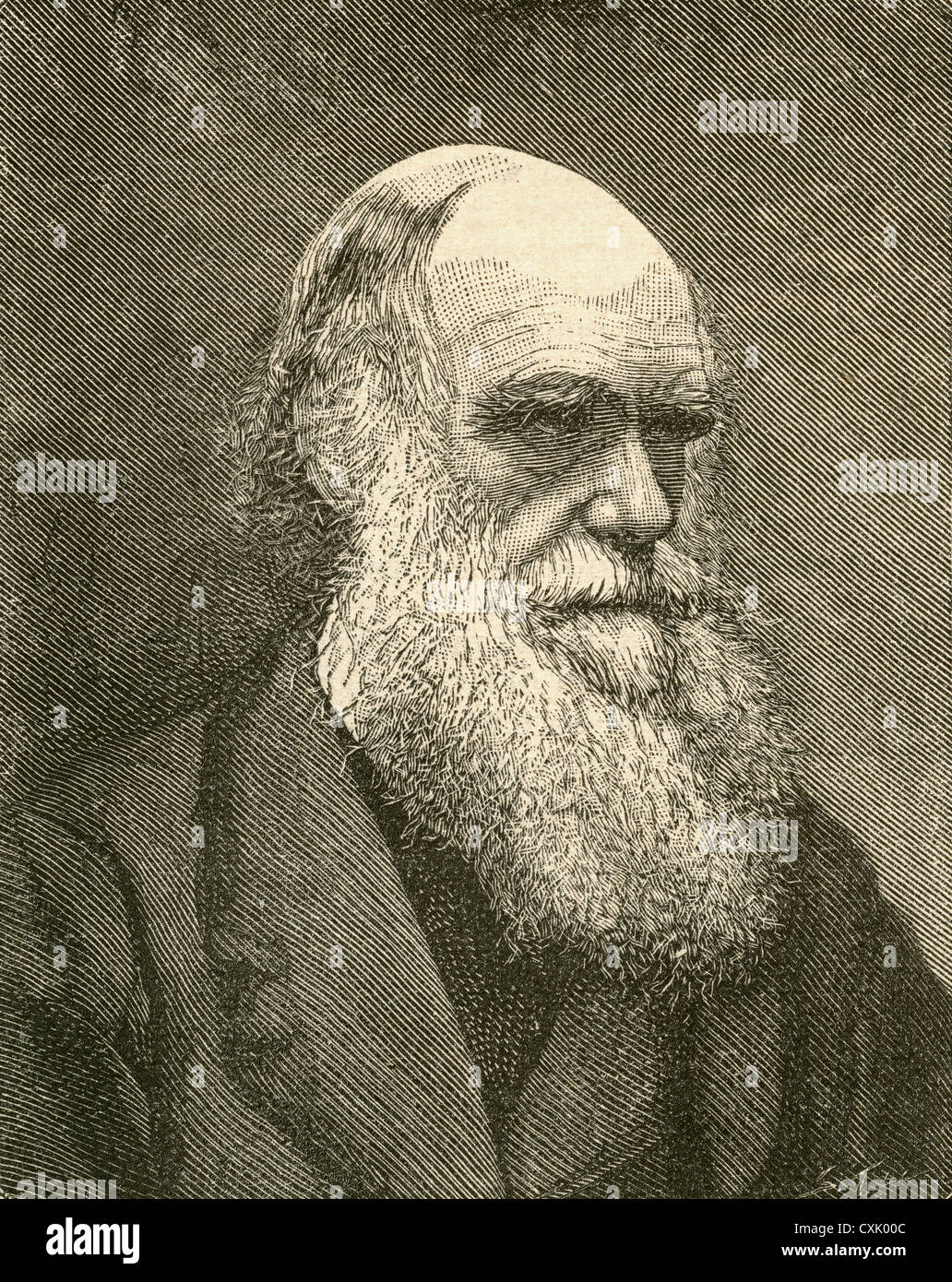 Charles Robert Darwin, 1809-1882. Englische Naturforscher und Schriftsteller. Von El Museo Popular veröffentlicht Madrid, 1887 Stockfoto