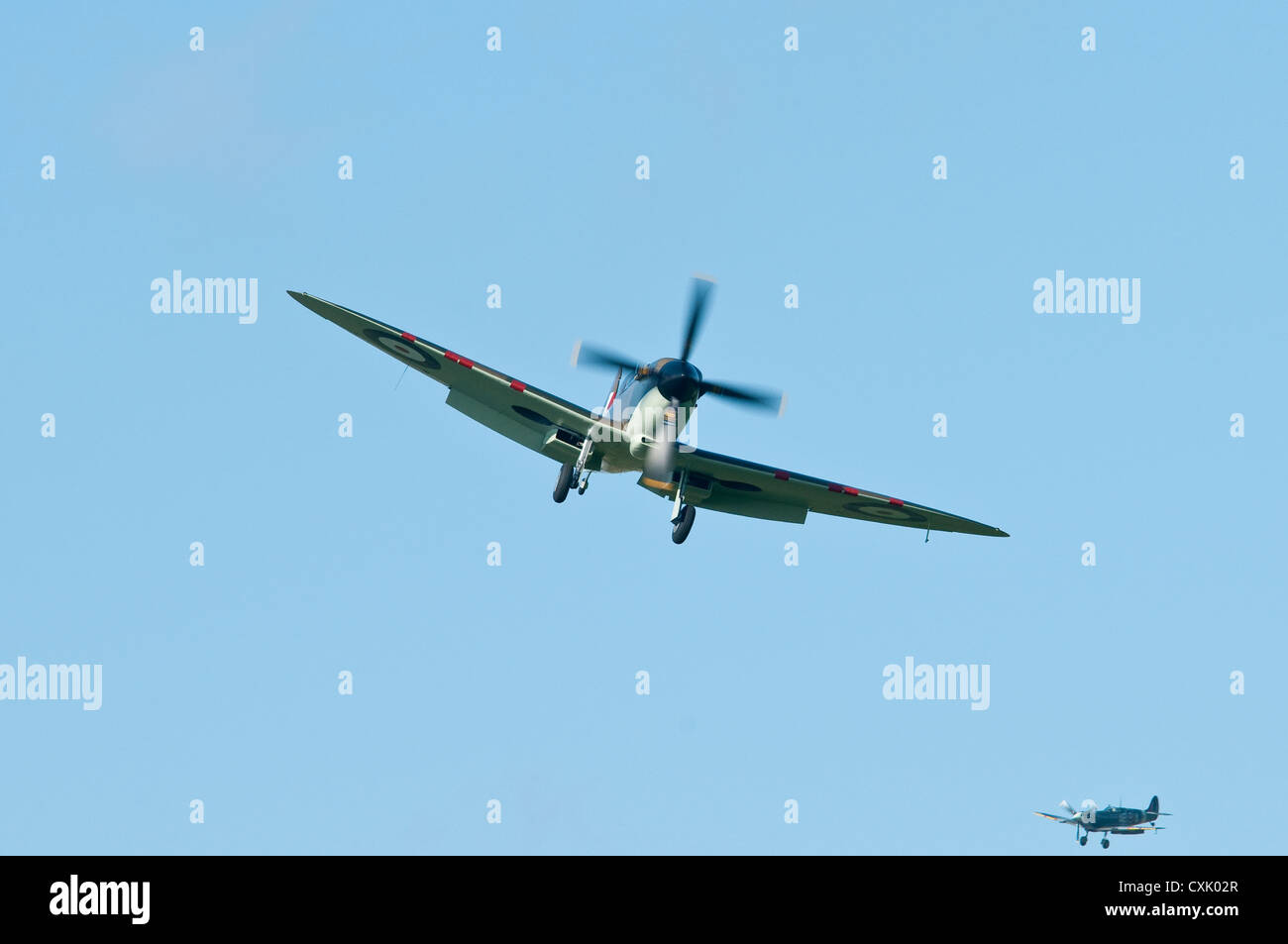 Spitfire mit Fahrwerk hinunter ins Land kommen Stockfoto