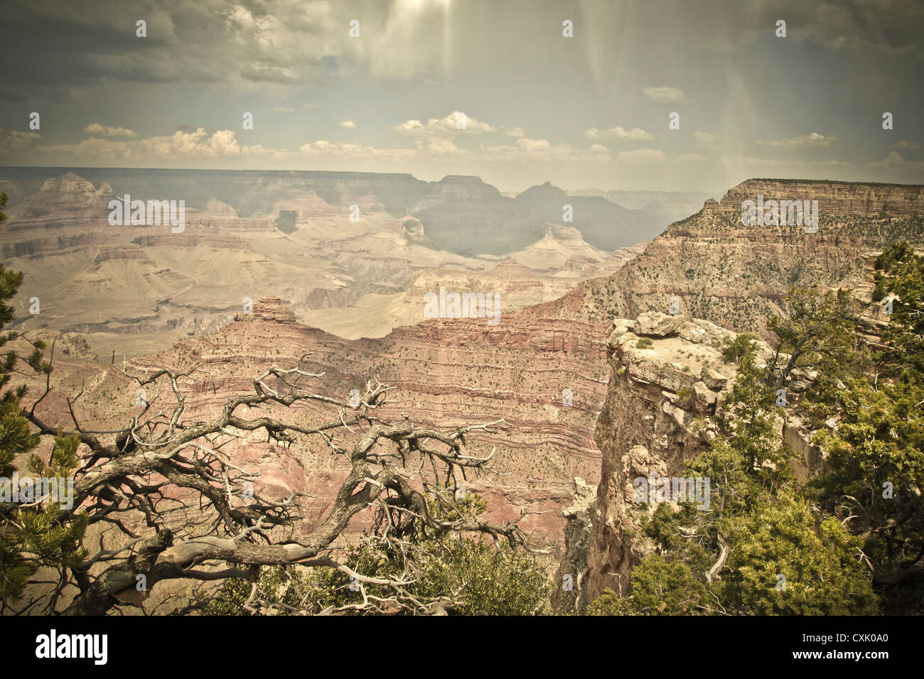 Mather Point, Grand Canyon National Park, Arizona, USA Stockfoto