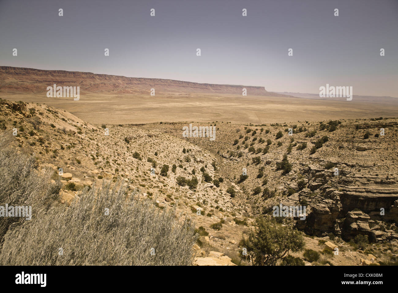 Panoramablick vom ALT 89, Arizona, USA Stockfoto