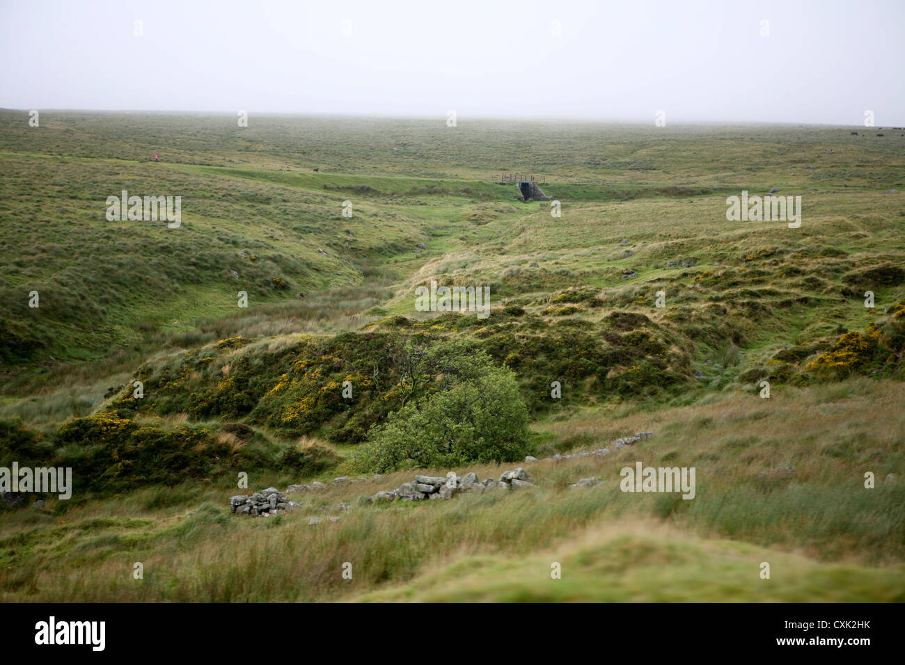 Offene Moorlandschaft an einem nebligen, nassen Nachmittag im Dartmoor National Park, Großbritannien Stockfoto
