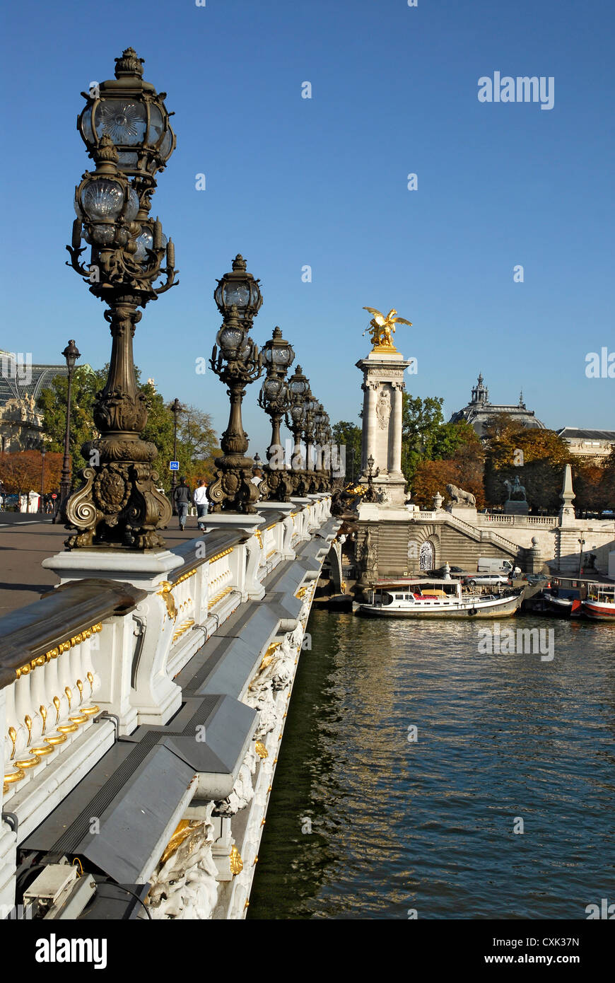Die berühmte Brücke Alexandre III in Paris über den Fluss Seine Stockfoto