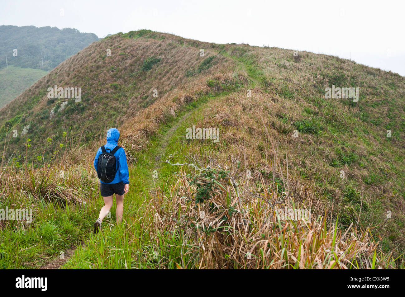 Rückansicht der Frau Wandern, Ilha do Mel, Parana, Brasilien Stockfoto