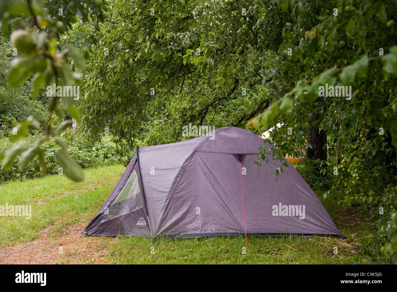 Camping Zelt, Freiburg, Baden-Württemberg, Deutschland Stockfoto