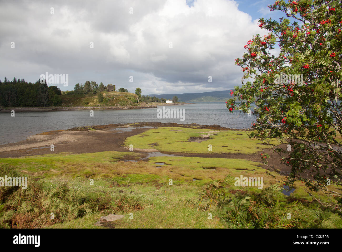 Isle of Mull, Schottland. Malerische Aussicht auf Mull die Ostküste mit dem 13. Jahrhundert Aros Netz Schloss Ruinen im Hintergrund. Stockfoto