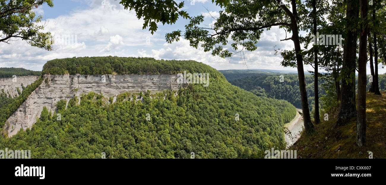 Genesee River Schlucht, Letchworth State Park, New York State Stockfoto