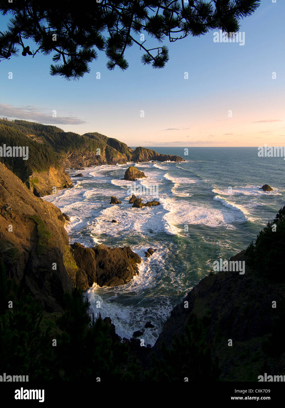 Überhängenden Baum und Surf bei Samuel H. Boardman State Scenic Korridor. Oregon Stockfoto